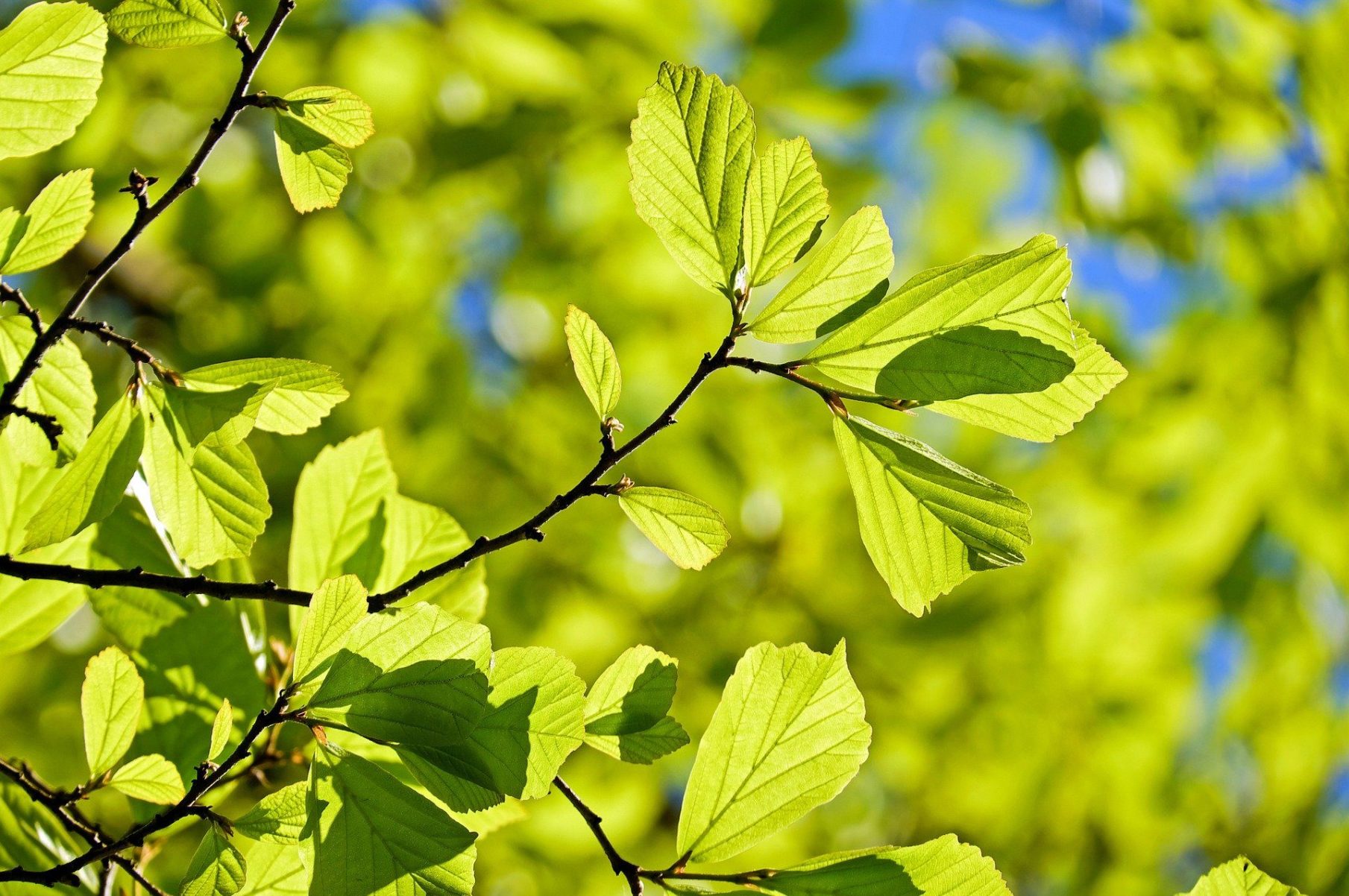 Professioner, privat psykiatrisk mottagning, läkare, psykiater, psykolog, psykoterapeut