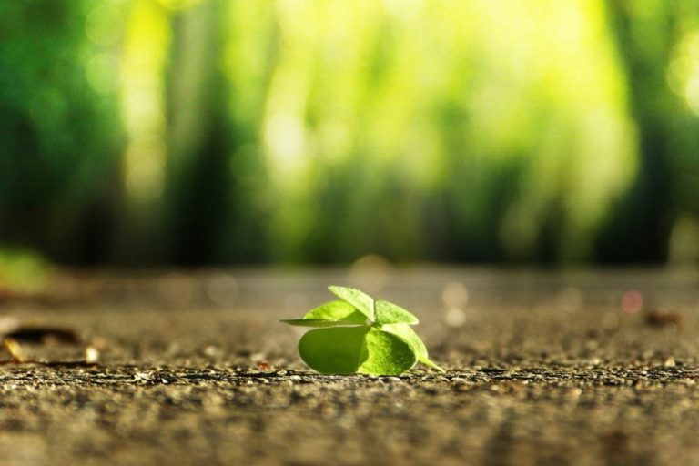 Neuropsykiatrisk utredning