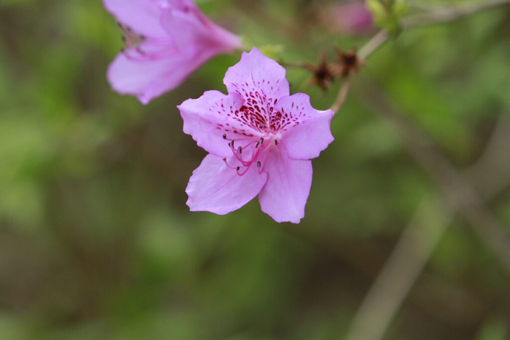 Vad är KBT - kognitiv beteendeterapi?